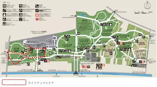 「東京・小金井公園、夏の花と幻想的な光の演出を楽しめる「花と光のムーブメント」7月18日より開催！」の画像
