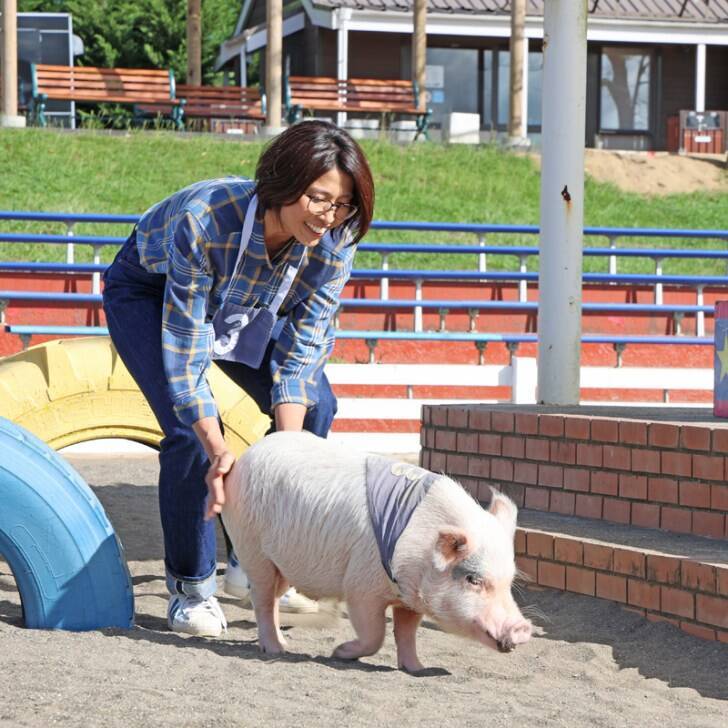 マザー牧場、秋の行楽シーズンにぴったり！動物ふれあい＆期間限定グルメも楽しめる秋限定イベントが10月1日より開催