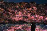 「千葉・養老渓谷で夜の野外アート展「チームラボ 養老渓谷」4月17日より開催！」の画像1