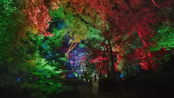 「千葉・養老渓谷で夜の野外アート展「チームラボ 養老渓谷」4月17日より開催！」の画像