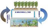 「西武園ゆうえんち、初の水族館特別展「ノスタルジック水族館」12月5日より開催！横浜・八景島シーパラダイスがプロデュース」の画像6