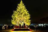 「「Christmas Market in 横浜赤レンガ倉庫」11月21日より開催！過去最大約12mのクリスマスツリーが登場」の画像2