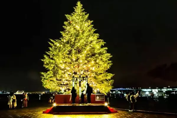 「「Christmas Market in 横浜赤レンガ倉庫」11月21日より開催！過去最大約12mのクリスマスツリーが登場」の画像