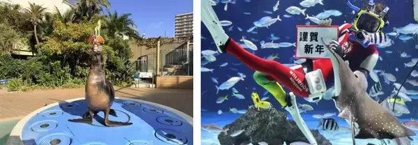 「池袋・サンシャインシティ、初日の出特別営業や館内を獅子舞の練り歩く「お正月イベント」を開催！」の画像
