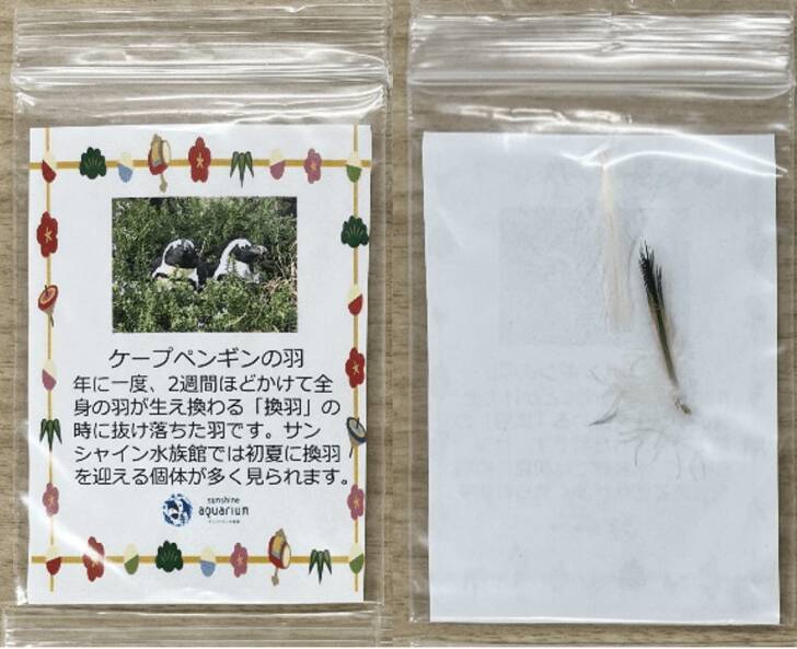 池袋・サンシャインシティ、初日の出特別営業や館内を獅子舞の練り歩く「お正月イベント」を開催！