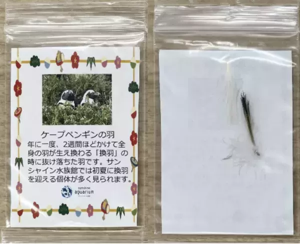 「池袋・サンシャインシティ、初日の出特別営業や館内を獅子舞の練り歩く「お正月イベント」を開催！」の画像