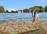 「足立区・舎人公園、ネモフィラブルーと幻想的な光の演出が楽しめる「花と光のムーブメント 舎人公園～ネモフィラと百花の花景色～」4月10日より開催！」の画像1