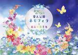 「足立区・舎人公園、ネモフィラブルーと幻想的な光の演出が楽しめる「花と光のムーブメント 舎人公園～ネモフィラと百花の花景色～」4月10日より開催！」の画像2