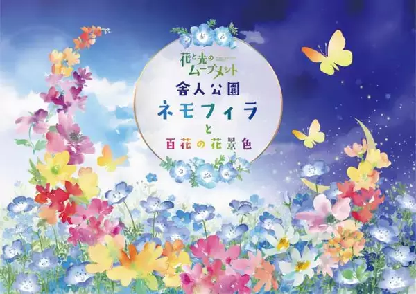 「足立区・舎人公園、ネモフィラブルーと幻想的な光の演出が楽しめる「花と光のムーブメント 舎人公園～ネモフィラと百花の花景色～」4月10日より開催！」の画像