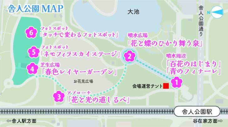 足立区・舎人公園、ネモフィラブルーと幻想的な光の演出が楽しめる「花と光のムーブメント 舎人公園～ネモフィラと百花の花景色～」4月10日より開催！