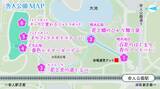 「足立区・舎人公園、ネモフィラブルーと幻想的な光の演出が楽しめる「花と光のムーブメント 舎人公園～ネモフィラと百花の花景色～」4月10日より開催！」の画像3