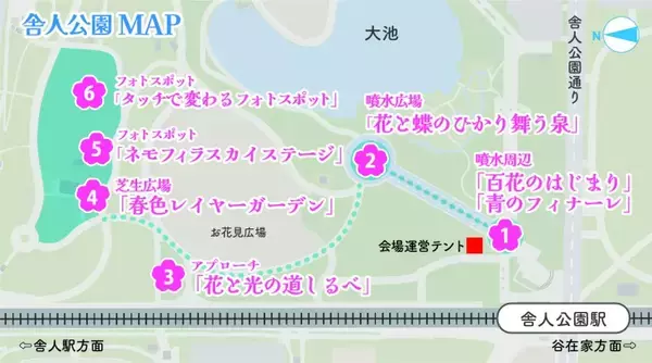 「足立区・舎人公園、ネモフィラブルーと幻想的な光の演出が楽しめる「花と光のムーブメント 舎人公園～ネモフィラと百花の花景色～」4月10日より開催！」の画像