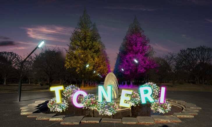 足立区・舎人公園、ネモフィラブルーと幻想的な光の演出が楽しめる「花と光のムーブメント 舎人公園～ネモフィラと百花の花景色～」4月10日より開催！
