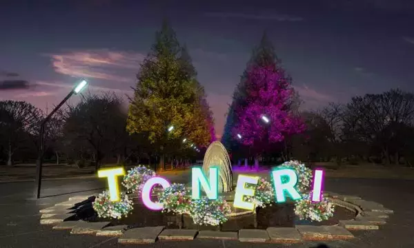 「足立区・舎人公園、ネモフィラブルーと幻想的な光の演出が楽しめる「花と光のムーブメント 舎人公園～ネモフィラと百花の花景色～」4月10日より開催！」の画像