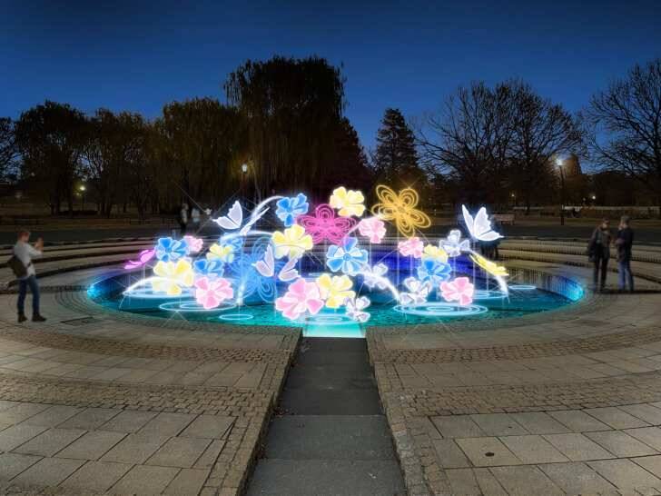 足立区・舎人公園、ネモフィラブルーと幻想的な光の演出が楽しめる「花と光のムーブメント 舎人公園～ネモフィラと百花の花景色～」4月10日より開催！