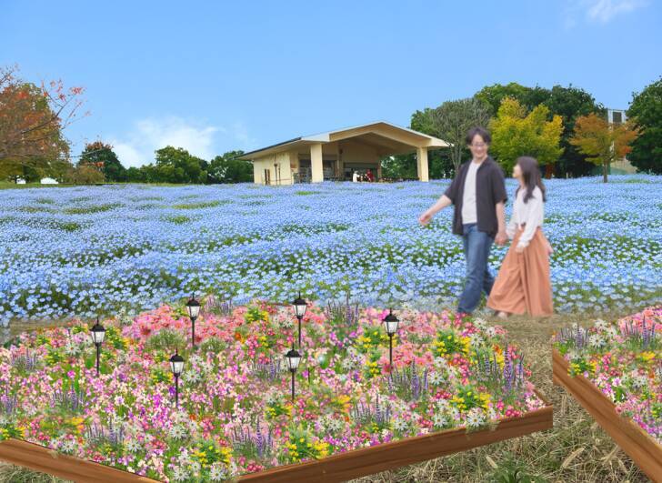 足立区・舎人公園、ネモフィラブルーと幻想的な光の演出が楽しめる「花と光のムーブメント 舎人公園～ネモフィラと百花の花景色～」4月10日より開催！