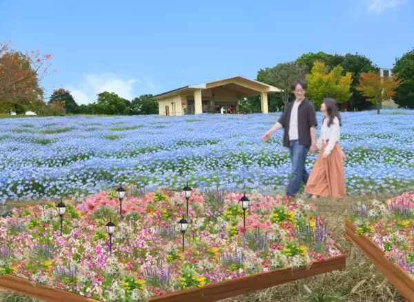 「足立区・舎人公園、ネモフィラブルーと幻想的な光の演出が楽しめる「花と光のムーブメント 舎人公園～ネモフィラと百花の花景色～」4月10日より開催！」の画像
