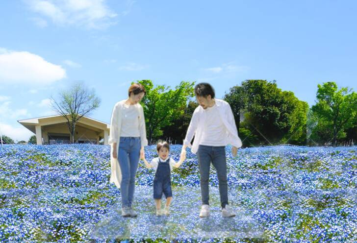 足立区・舎人公園、ネモフィラブルーと幻想的な光の演出が楽しめる「花と光のムーブメント 舎人公園～ネモフィラと百花の花景色～」4月10日より開催！