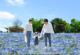 「足立区・舎人公園、ネモフィラブルーと幻想的な光の演出が楽しめる「花と光のムーブメント 舎人公園～ネモフィラと百花の花景色～」4月10日より開催！」の画像8