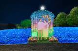 「足立区・舎人公園、ネモフィラブルーと幻想的な光の演出が楽しめる「花と光のムーブメント 舎人公園～ネモフィラと百花の花景色～」4月10日より開催！」の画像9