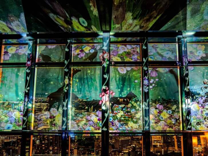 東京タワー×ネイキッド、満開の桜と春の夜景が織りなすマッピングショーイベントが2月28日より開催！
