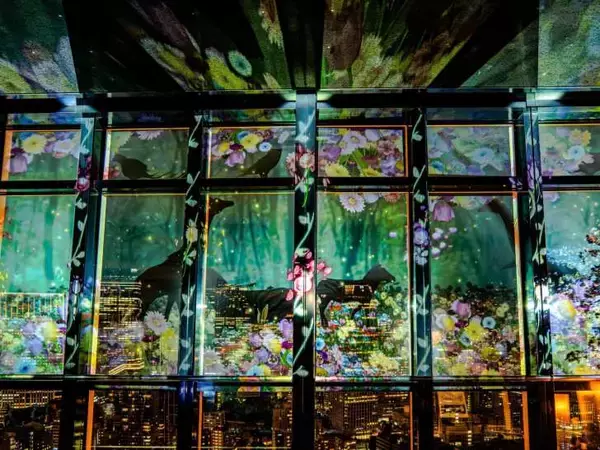 「東京タワー×ネイキッド、満開の桜と春の夜景が織りなすマッピングショーイベントが2月28日より開催！」の画像