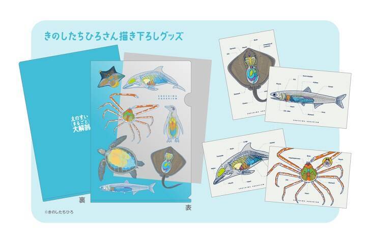 新江ノ島水族館、「えのすいまるごと大解剖展」7月3日より開催！スタンプラリー開催や限定グッズも登場