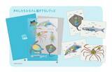 「新江ノ島水族館、「えのすいまるごと大解剖展」7月3日より開催！スタンプラリー開催や限定グッズも登場」の画像13