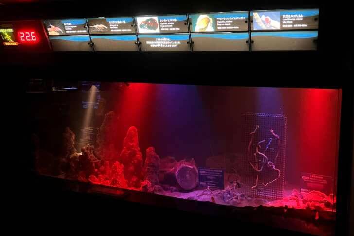 新江ノ島水族館、「えのすいまるごと大解剖展」7月3日より開催！スタンプラリー開催や限定グッズも登場