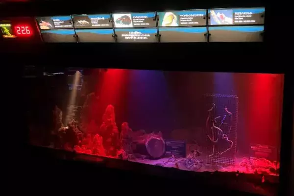 「新江ノ島水族館、「えのすいまるごと大解剖展」7月3日より開催！スタンプラリー開催や限定グッズも登場」の画像
