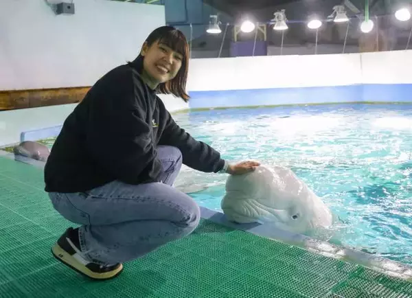 「鴨川シーワールド、閉館後の水族館を満喫できる2つのイベント「水族館探検プラン」＆「ナイトアドベンチャー」7月13日より開催！」の画像