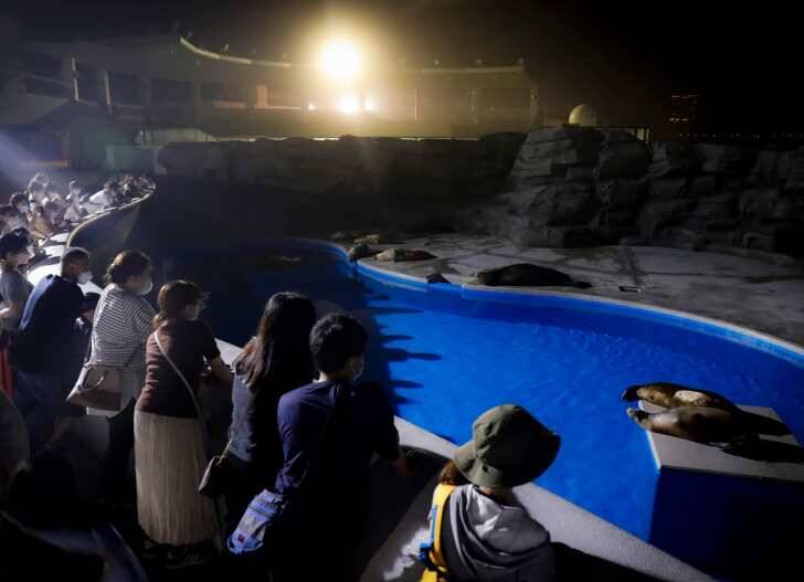 鴨川シーワールド、閉館後の水族館を満喫できる2つのイベント「水族館探検プラン」＆「ナイトアドベンチャー」7月13日より開催！
