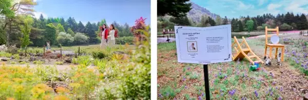 「富士本栖湖リゾート、約50万株の芝桜が咲き誇る春の風物詩「富士芝桜まつり」4月11日より開催！」の画像