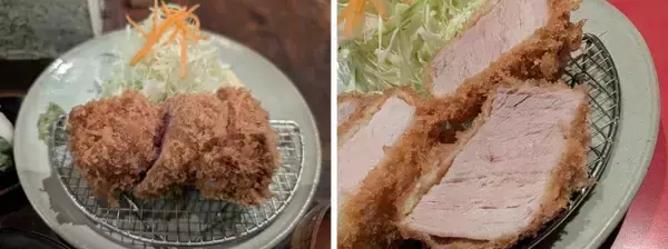 「とんかつ“ベス豚”グランプリ金賞受賞！茨城県産ブランド豚肉「常陸の輝き」が都内の約10店舗で楽しめるフェア開催」の画像