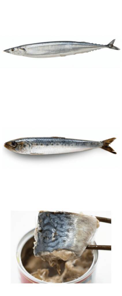 冬でも油断禁物？管理栄養士が教える“気づきにくい紫外線ダメージ”と体と肌を守る栄養習慣