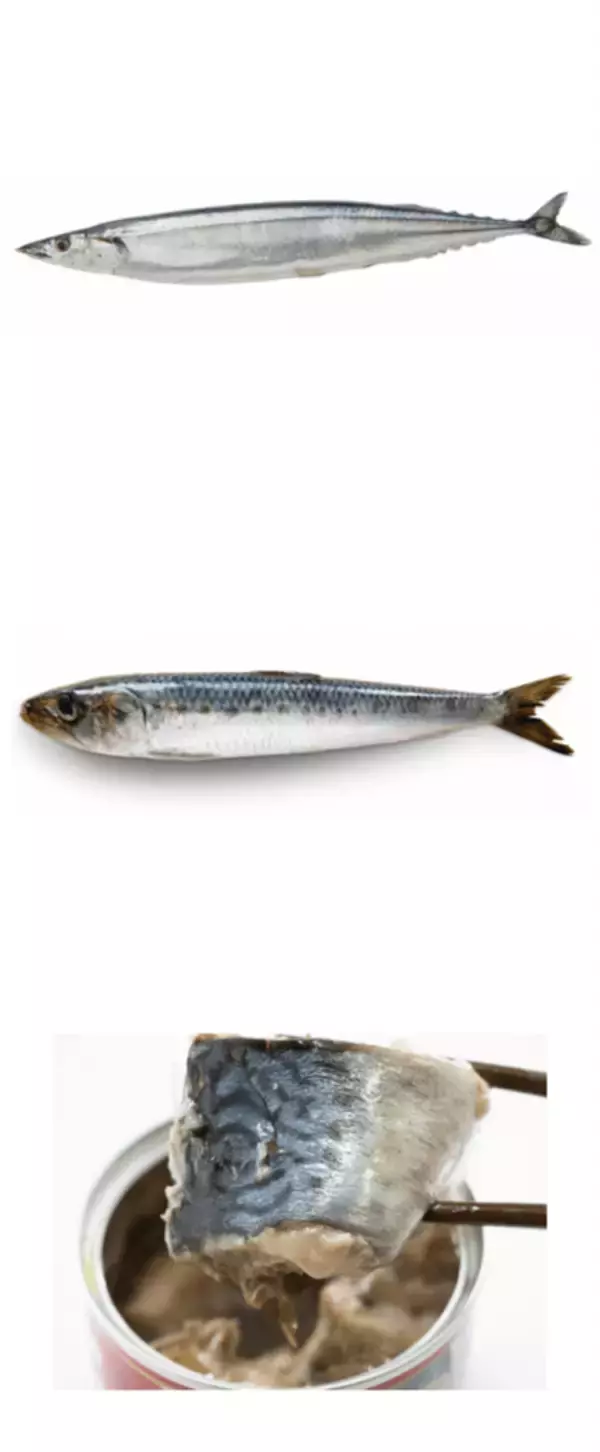 「冬でも油断禁物？管理栄養士が教える“気づきにくい紫外線ダメージ”と体と肌を守る栄養習慣」の画像