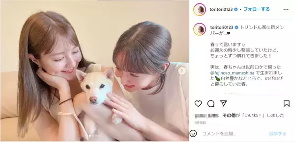 トリンドル玲奈、家族に迎えた新たなメンバーを紹介！「とっても穏やかちゃんです」