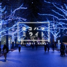 横浜最大級のイルミネーションイベント「ヨコハマミライト2025 ～みらいを照らす、光のまち～」11月6日より開催！