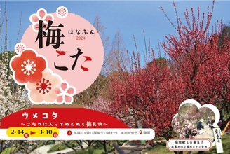 コタツに入ってぬくぬく梅見物！大阪府立花の文化園で「梅コタ」2月14日より開催