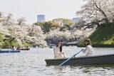 「皇居千鳥ヶ淵、夜桜ライトアップを開催！ボート乗船「スマートチケット」販売＆アニメコラボも」の画像3