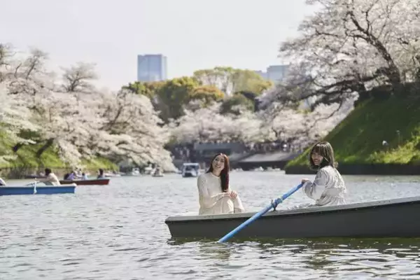 「皇居千鳥ヶ淵、夜桜ライトアップを開催！ボート乗船「スマートチケット」販売＆アニメコラボも」の画像