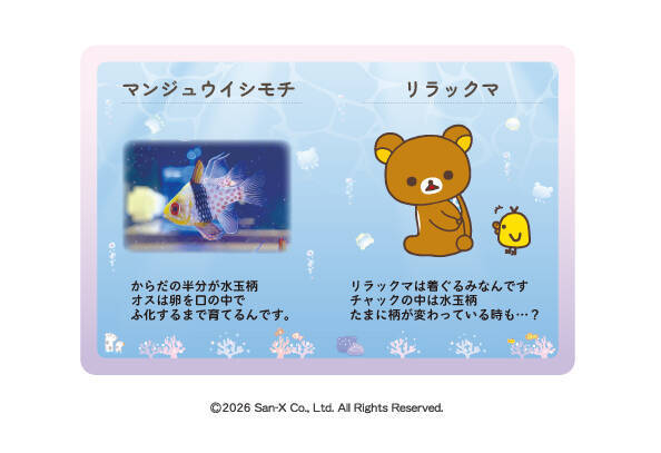 「リラックマ」が水族館と初コラボイベント！「リラックマ×上越市立水族博物館 うみがたり」6月26日より開催