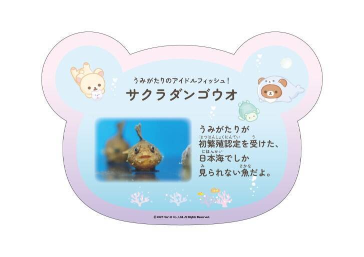 「リラックマ」が水族館と初コラボイベント！「リラックマ×上越市立水族博物館 うみがたり」6月26日より開催