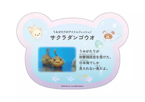 「「リラックマ」が水族館と初コラボイベント！「リラックマ×上越市立水族博物館 うみがたり」6月26日より開催」の画像