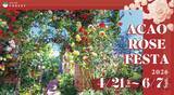 「熱海「ACAO FOREST」、約600種4,000株のバラが咲き誇る「ACAO ROSE FESTA 2026」が4月21日より開催！」の画像1
