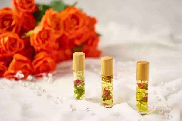 「熱海「ACAO FOREST」、約600種4,000株のバラが咲き誇る「ACAO ROSE FESTA 2026」が4月21日より開催！」の画像
