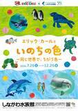 「しながわ水族館、特別展「エリック・カールといのちの色‐同じ世界で、ちがう色‐」7月25日より開催！」の画像2