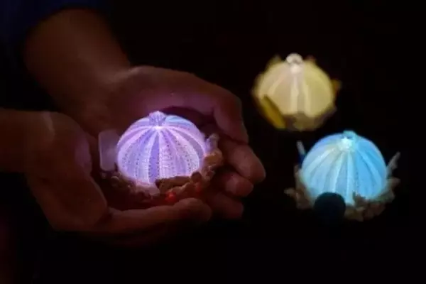 東京ドームシティの宇宙体感施設「TeNQ」、子どもから大人まで楽しめる夏イベント開催！