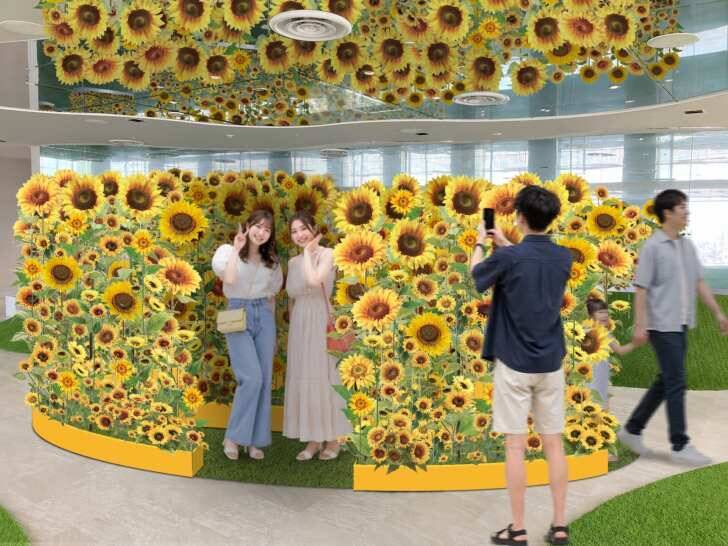 サンシャイン60展望台 てんぼうパーク、日本の夏を満喫できる「てんぼうパークの夏景色」7月9日より開催！