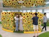 「サンシャイン60展望台 てんぼうパーク、日本の夏を満喫できる「てんぼうパークの夏景色」7月9日より開催！」の画像2